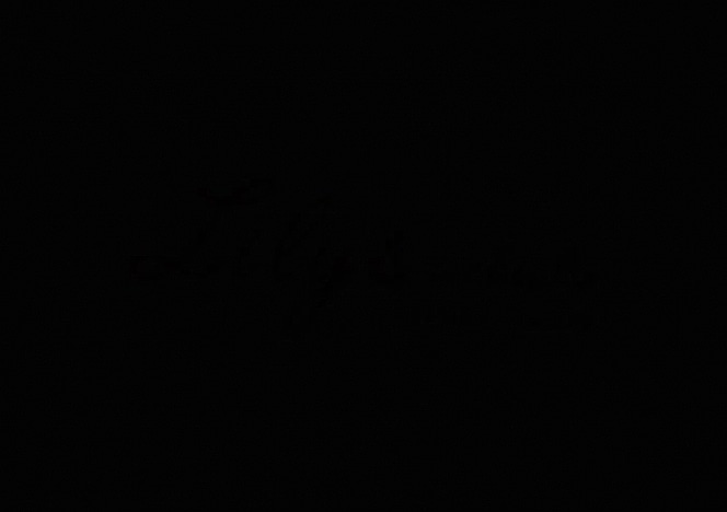 lily/videos/Ak8_zBuS-YsiR3R6-a1Wzm7vPZJq2spU