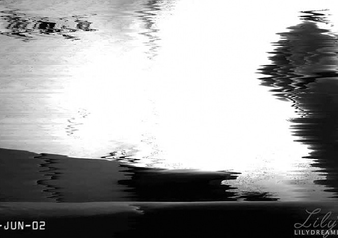 lily/videos/IFhFSTo7l_GPIS91QFOSzpYdmFgZAbzo