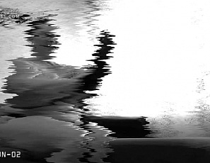 lily/videos/IFhFSTo7l_GPIS91QFOSzpYdmFgZAbzo