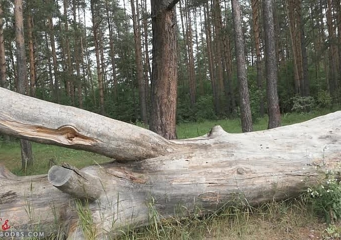 lily/videos/moLqr4gO3gVa70o6aISxHRKahw1jjnB2